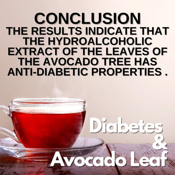 The avocado tree has anti diabetic properties