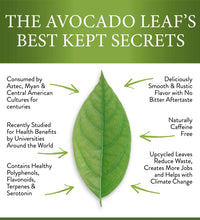 Herbal Sampler Pack - 4 Blends - Caffeine Free - Avocado Tea Co.