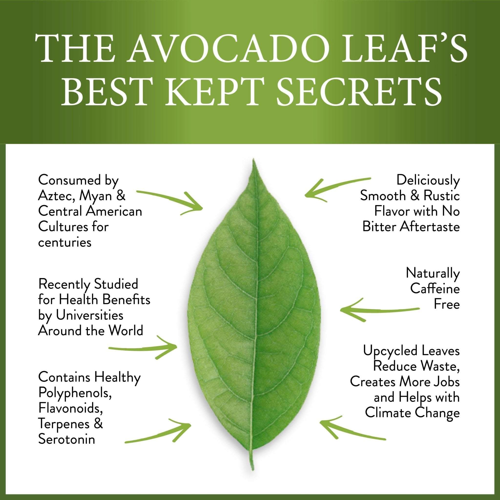 Herbal Sampler Pack - 4 Blends - Caffeine Free - Avocado Tea Co.
