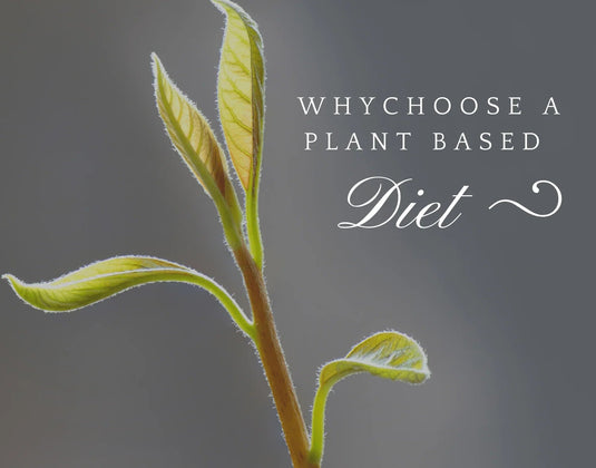 The Plant-Based Diet | Health Benefits & More