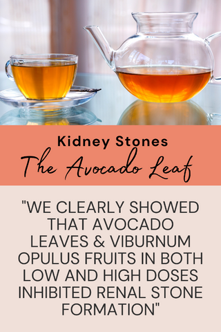 Avocado Leaf/Guelder Rose & Kidney Stones