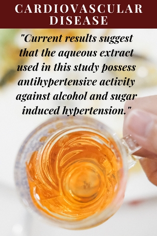 Can Cardiovascular Diseases Be Managed and Treated with Avocado Leaf Extract?