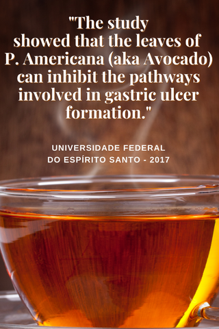 A Plant That Could Promote Healing of Gastric Ulcers
