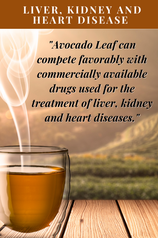 2021 study on Liver, Kidney & Heart Disease