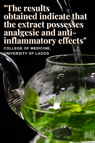 Inflammation & Avocado Leaf