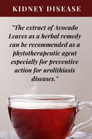 Avocado Leaf & Kidney Disease