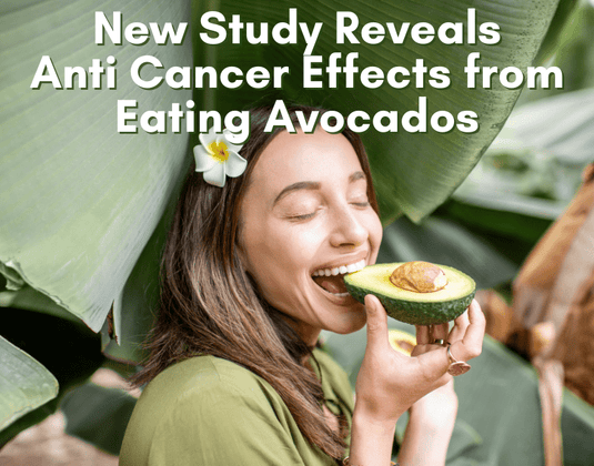 Anti-Cancer effects of the Avocado -  A Closer Look at the Science