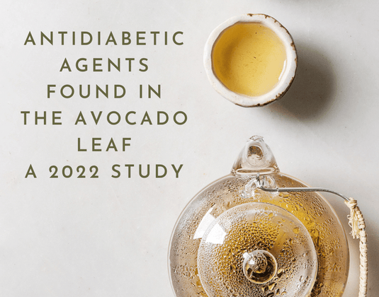 Antidiabetic Agents in the Avocado Leaf - A 2022 Study