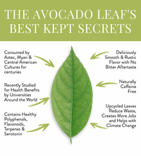 Avocado Leaf Chamomile Blend - Avocado Tea Co.