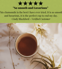 Avocado Leaf Chamomile Blend - Avocado Tea Co.