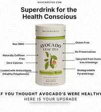 Avocado Leaf Chamomile Blend - Avocado Tea Co.