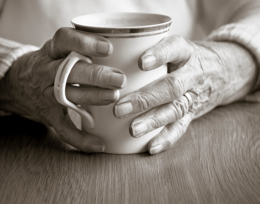 Avocado Leaf Tea & Elderly Patients with Hypertension - A 2015 Study