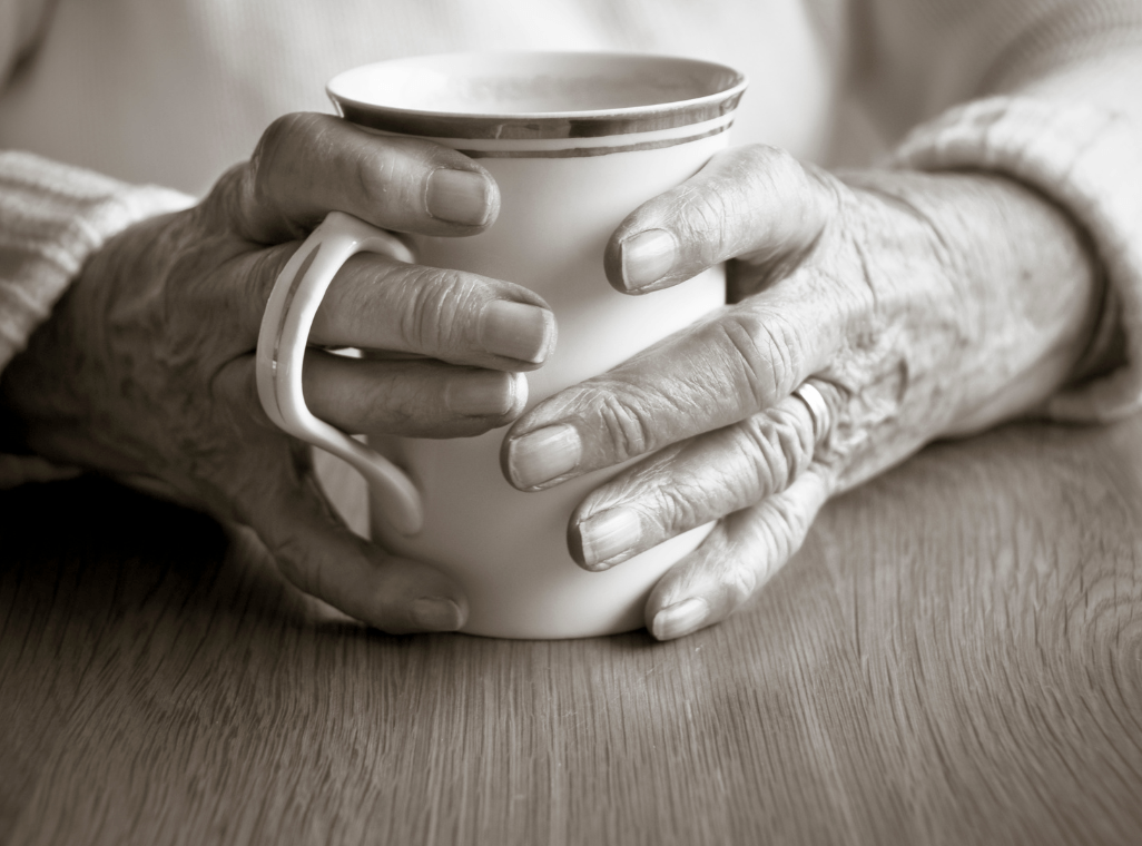 Avocado Leaf Tea & Elderly Patients with Hypertension - A 2015 Study