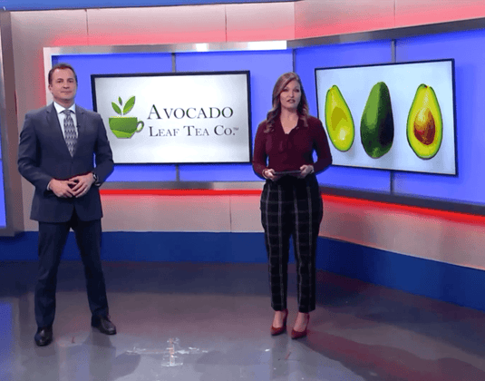 Avocado Leaf Tea Featured on Fox 2 News | Watch Now!