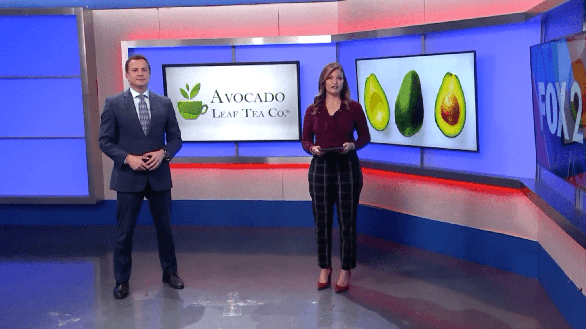 Avocado Leaf Tea Featured on Fox 2 News | Watch Now!