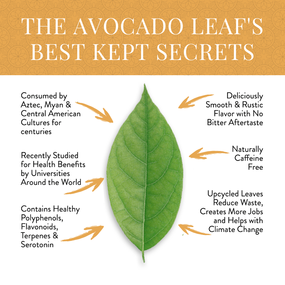 Avocado Leaf Tea Peach Blend - Avocado Tea Co.