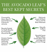 Avocado Natural Leaf Tea - Avocado Tea Co.
