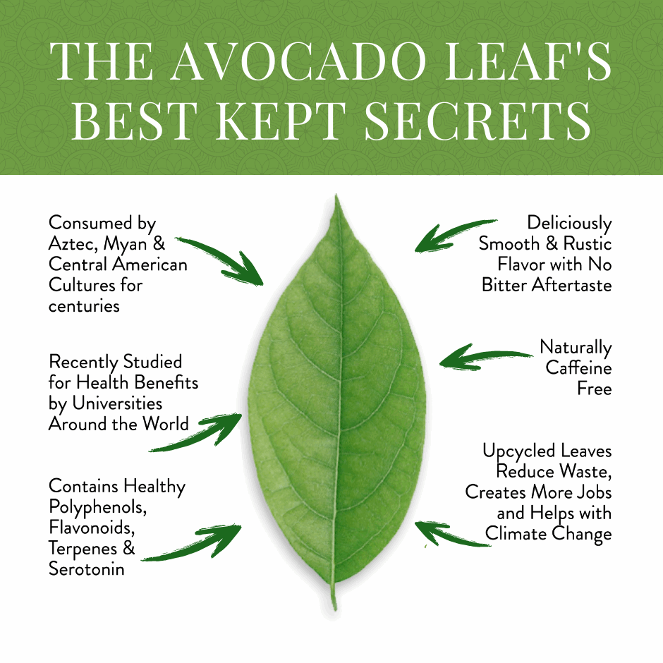 Avocado Natural Leaf Tea - Avocado Tea Co.