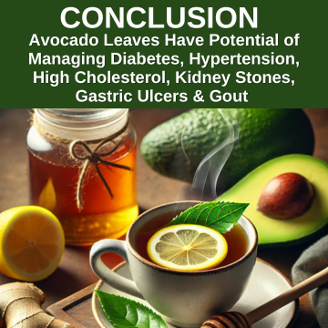 Avocado Leaf & Diabetes.png__PID:5d1d209d-adf1-4743-9f42-4f2ce6b8cf6b