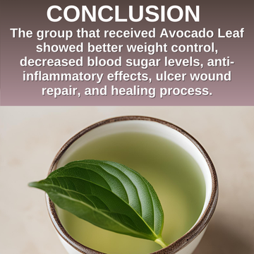 avocado leaves and type 2 diabetes.png__PID:209dadf1-f743-4f42-8f2c-e6b8cf6b3cb8