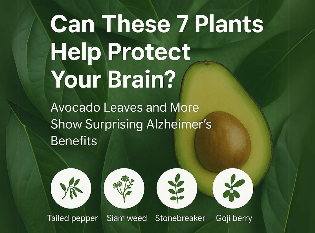 Can These 7 Plants Help Protect Your Brain?