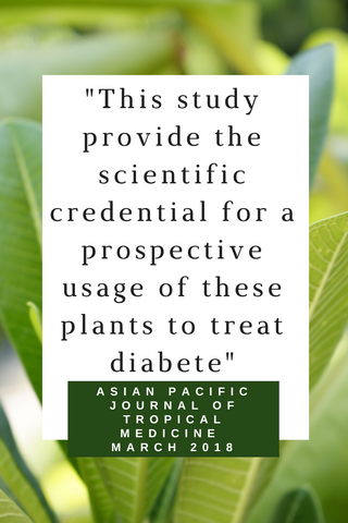 Can plant medicine help treat Diabetes? 2018 Study on Piper Umbellatum & Avocado Leaf