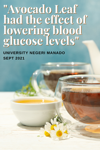 Boiled Avocado Leaf & Blood Glucose Levels - A 2021 Study