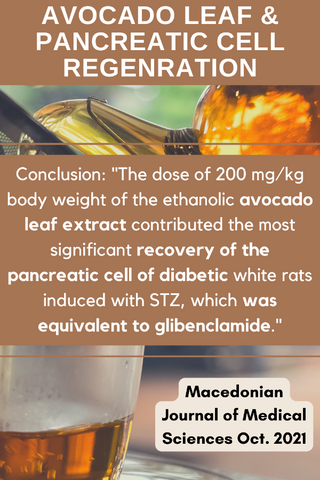 Pancreatic Cell Regeneration & Avocado Leaf Extract