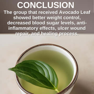Naturally cure diabetes with avocado leaf.png__PID:27fa6914-2cb0-482a-9391-6defe7e6af92
