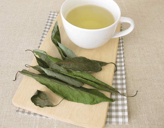 Pancreatic Cell Regeneration & Avocado Leaf Extract