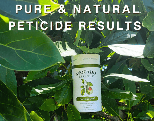 Pure Sips: How Avocado Tea Co. Ensures Your Tea is Free of Heavy Metals and Pesticides