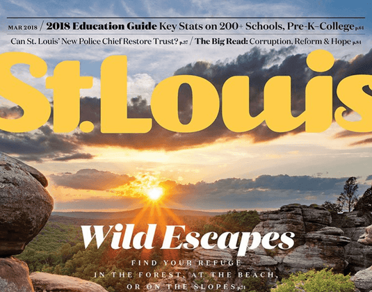 St. Louis Magazine Covers Avocado Leaf Tea