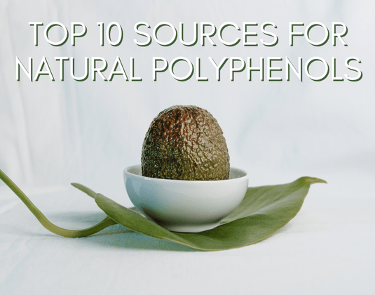 Top 10 Polyphenol Sources 2024: Ultimate Guide to Natural Antioxidants