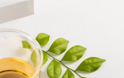 Avocado Tea Co.